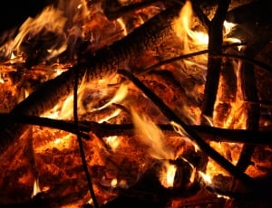 bonfire thumbnail