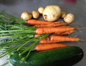 carrots, potatoes and cucumber thumbnail