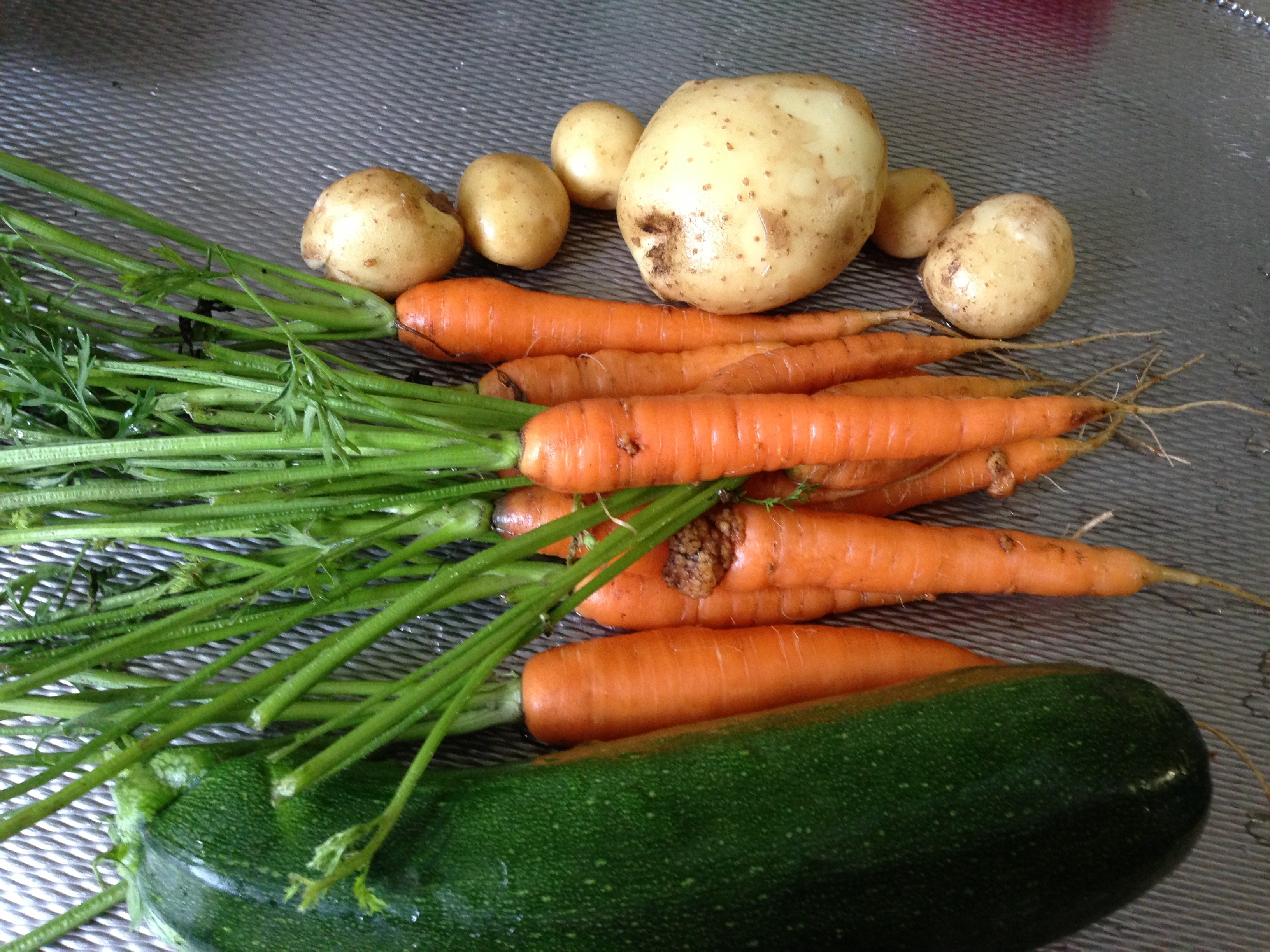 carrots, potatoes and cucumber