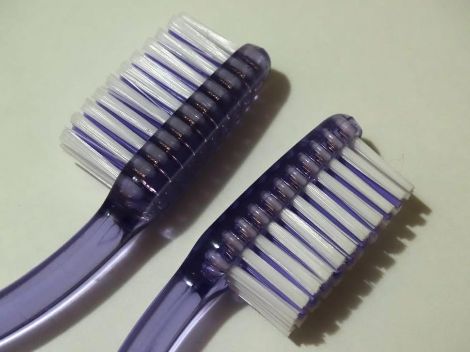 2 purple and white toothbrushes preview