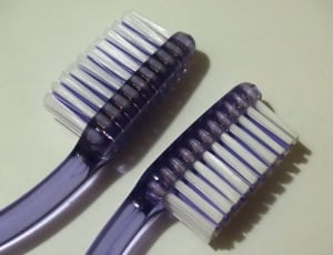 2 purple and white toothbrushes thumbnail