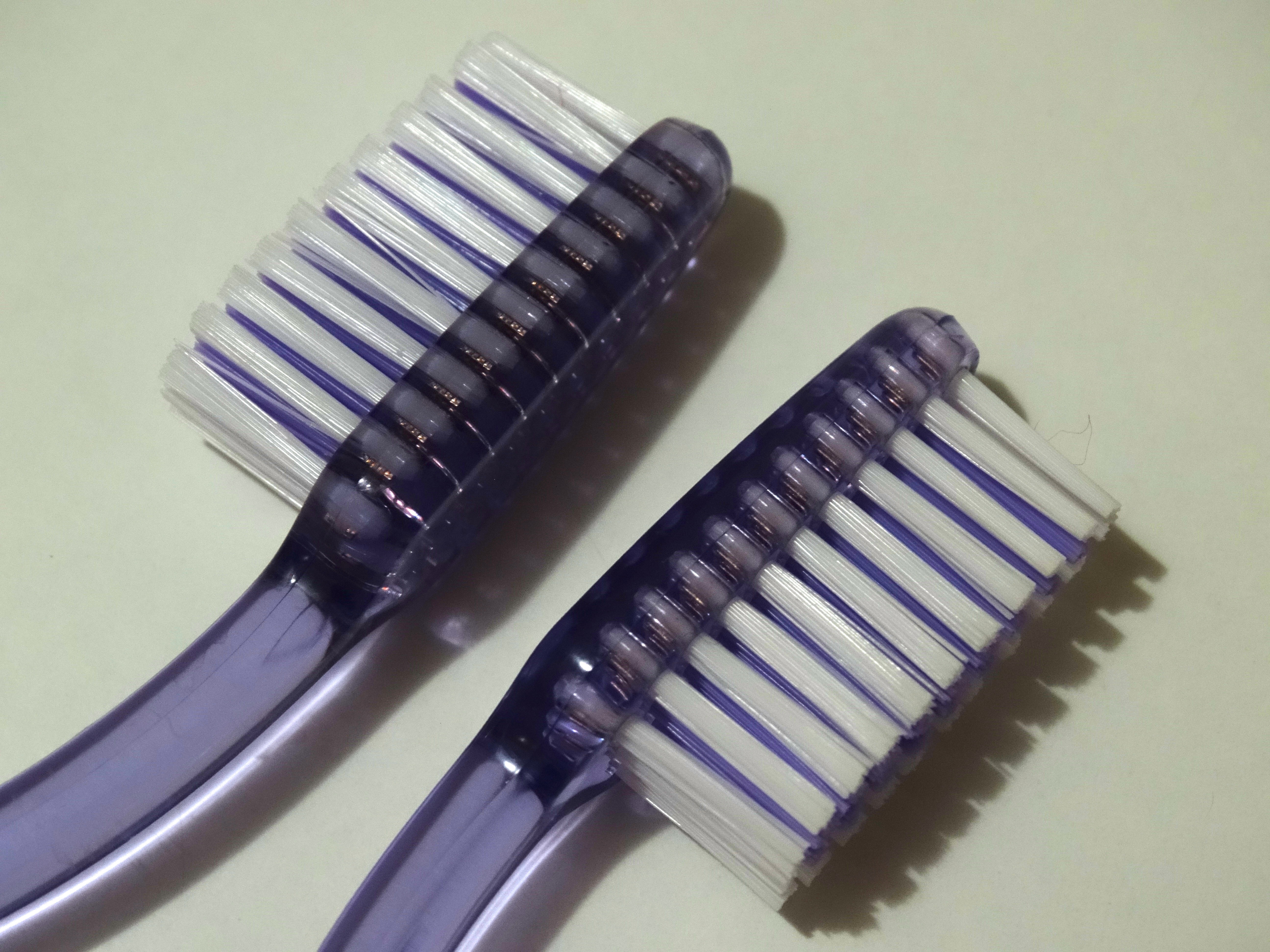 2 purple and white toothbrushes