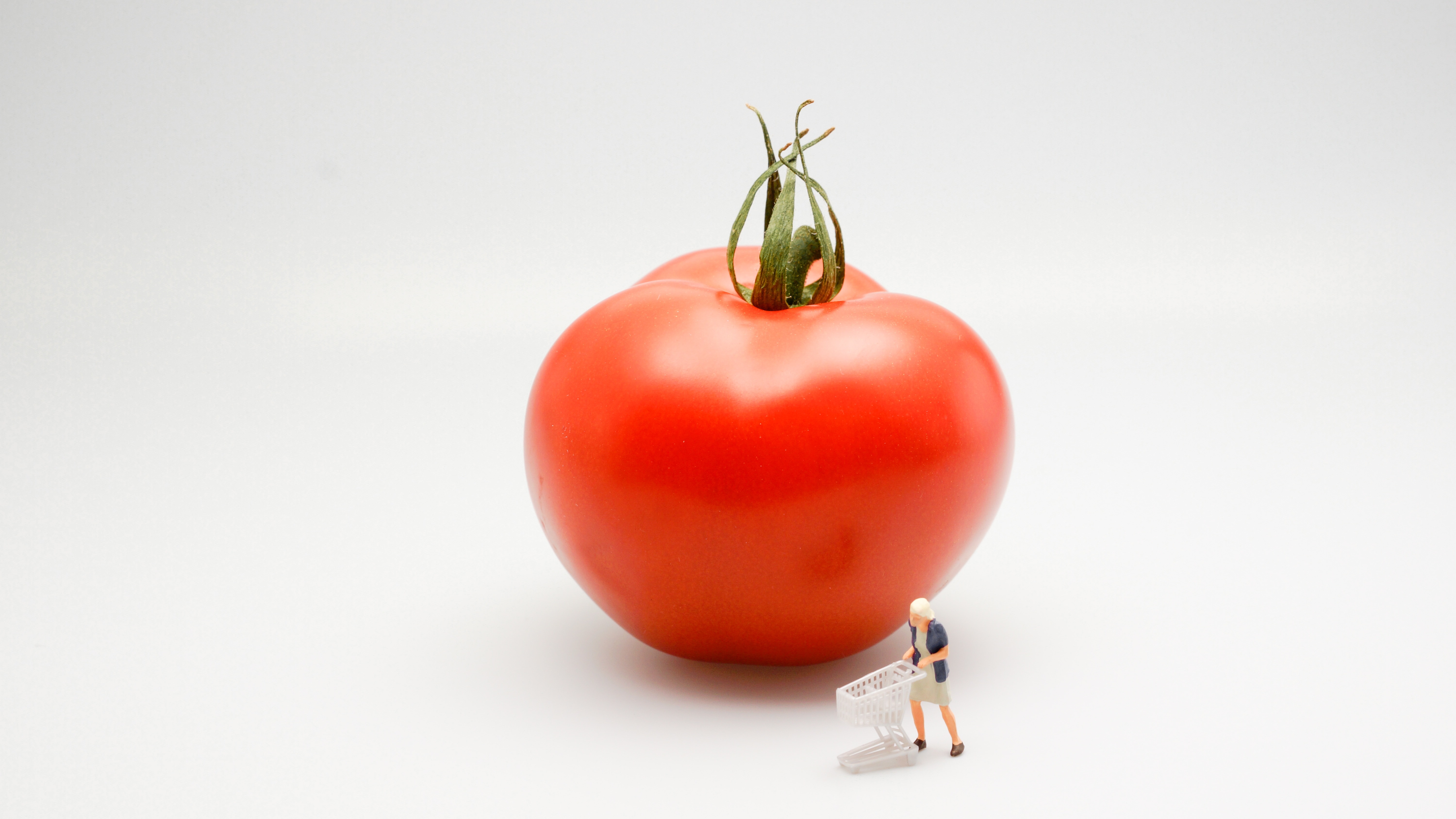 Tomato, Food, Vegetable, Red, Woman, studio shot, red