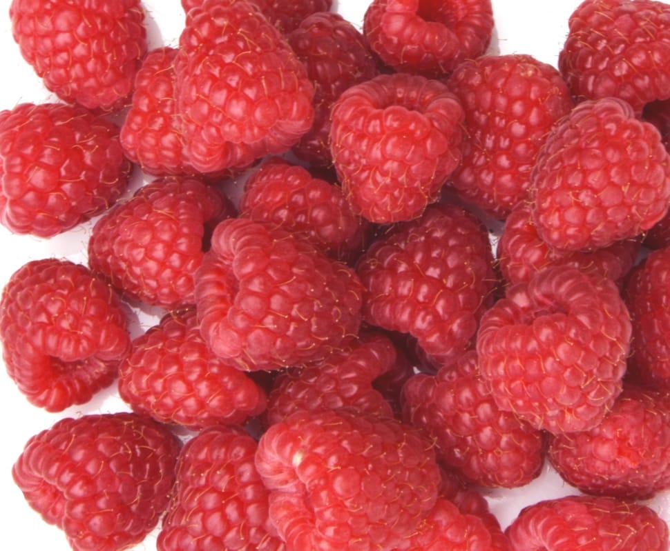 raspberry lot preview