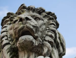 brown lion statue thumbnail
