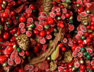 red green gold christmas plant decor thumbnail