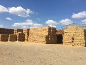 hay lot during day time thumbnail