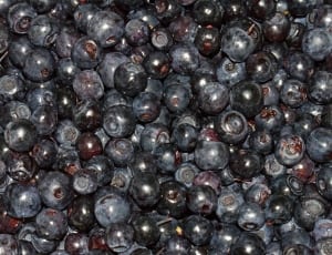 black berries thumbnail