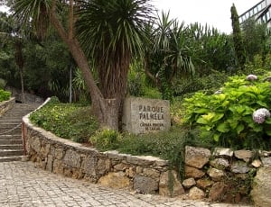 parque palmela bricks pathway near garden thumbnail