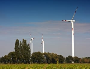three white-and-red wind turbines with trees nearby thumbnail