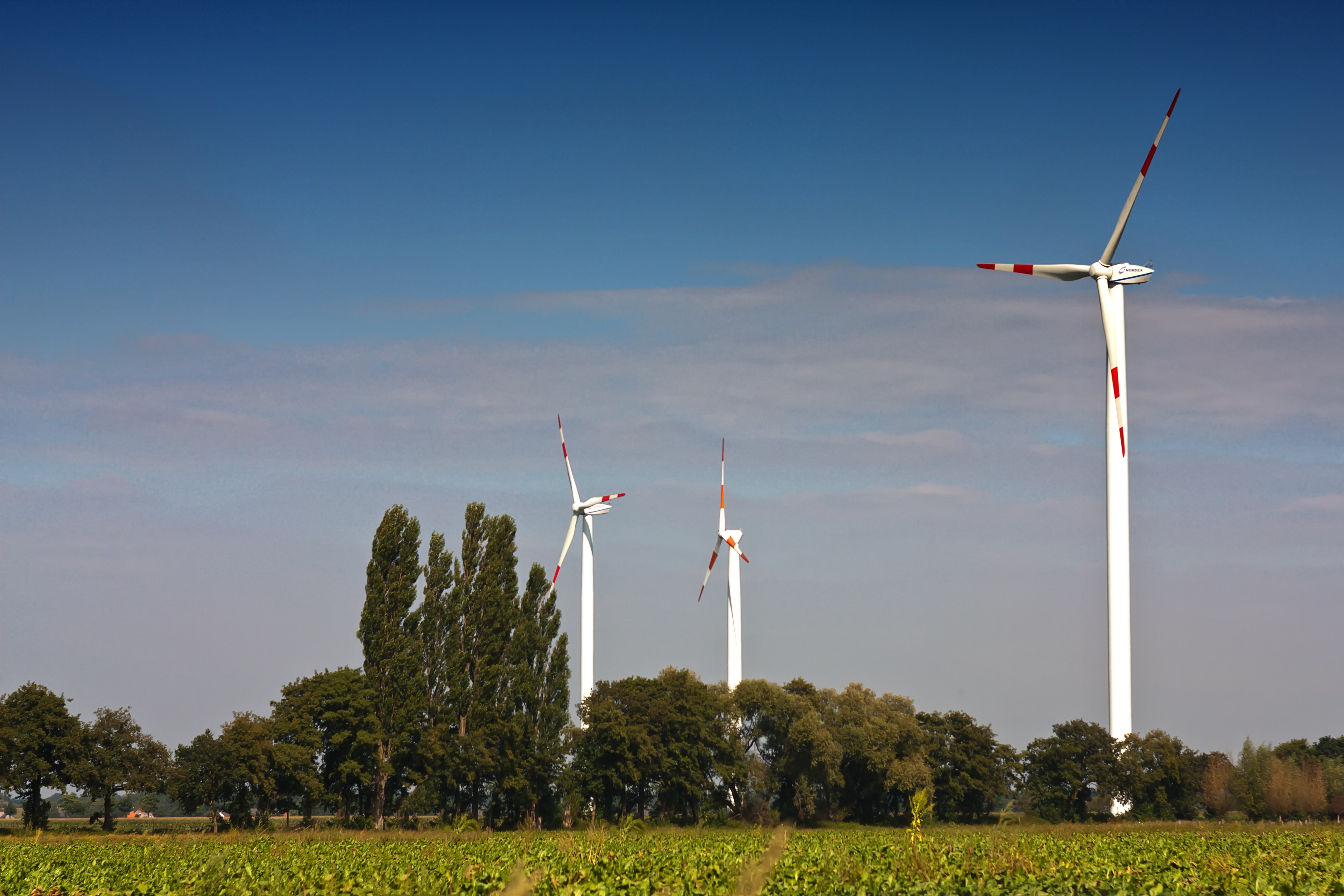 three white-and-red wind turbines with trees nearby
