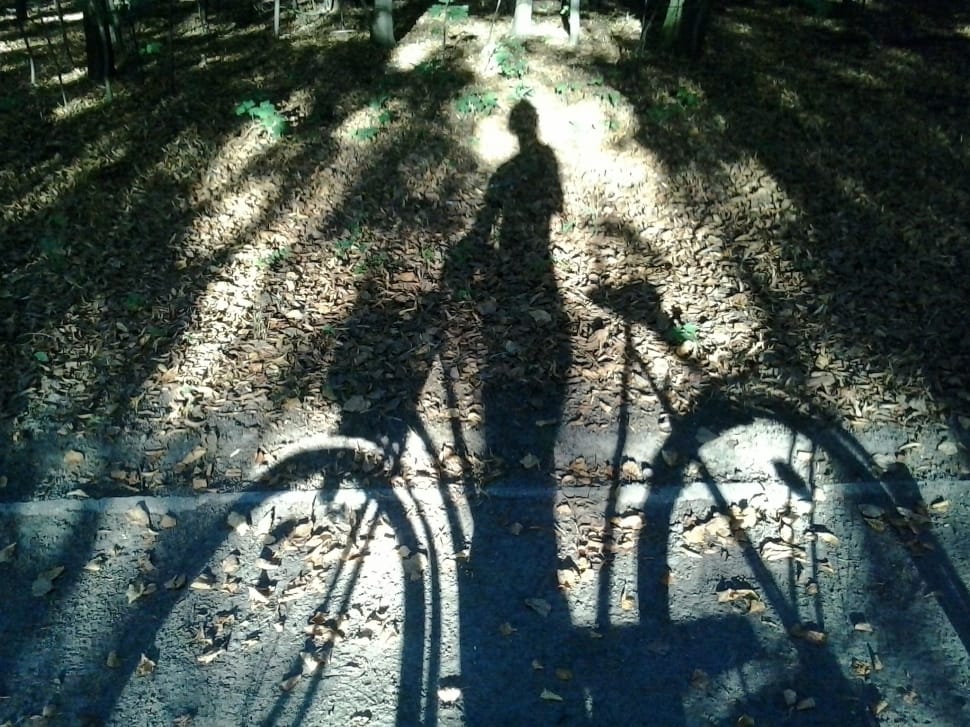 silhouette of woman with bicycle preview