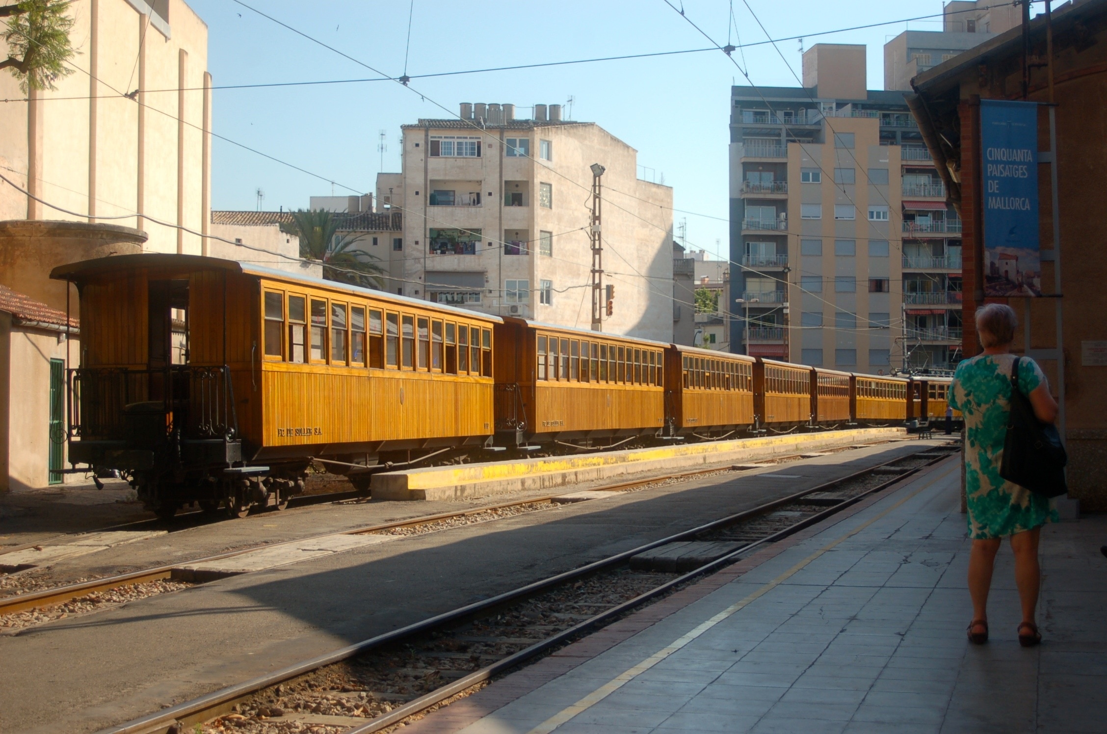brown train
