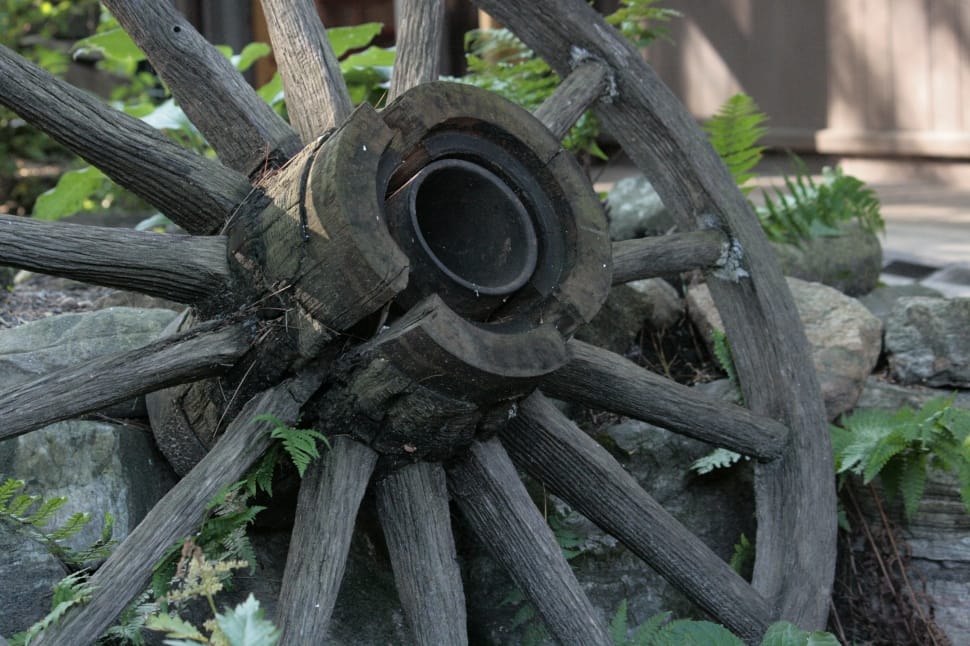 black wooden wheel preview