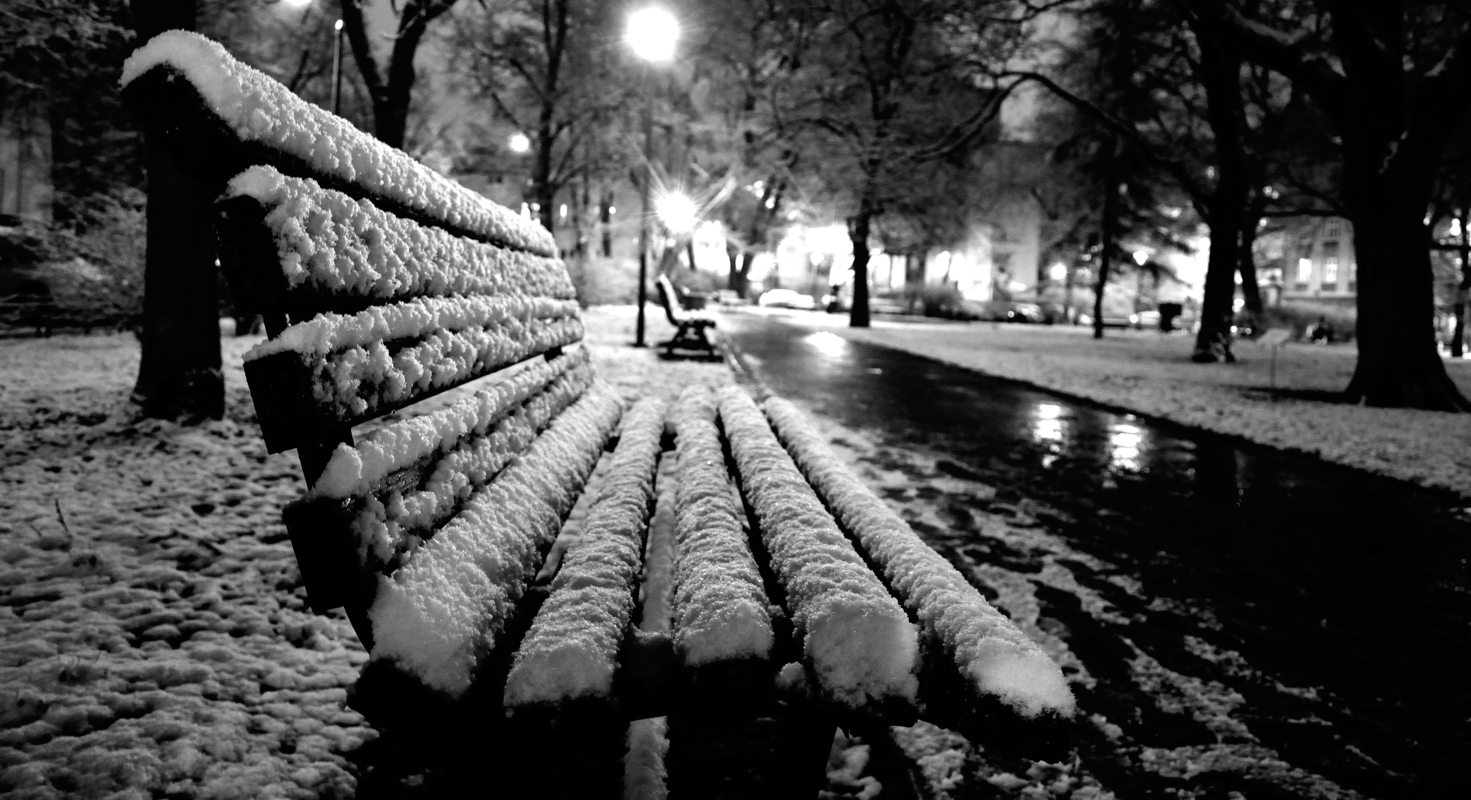 snow capped bench