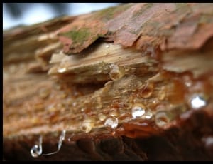 brown wood with water splash thumbnail