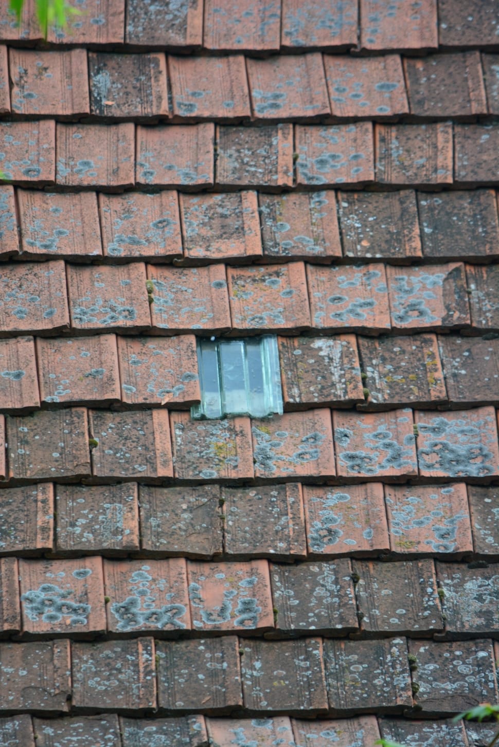 roof tile with gray tile on middle during daytime preview