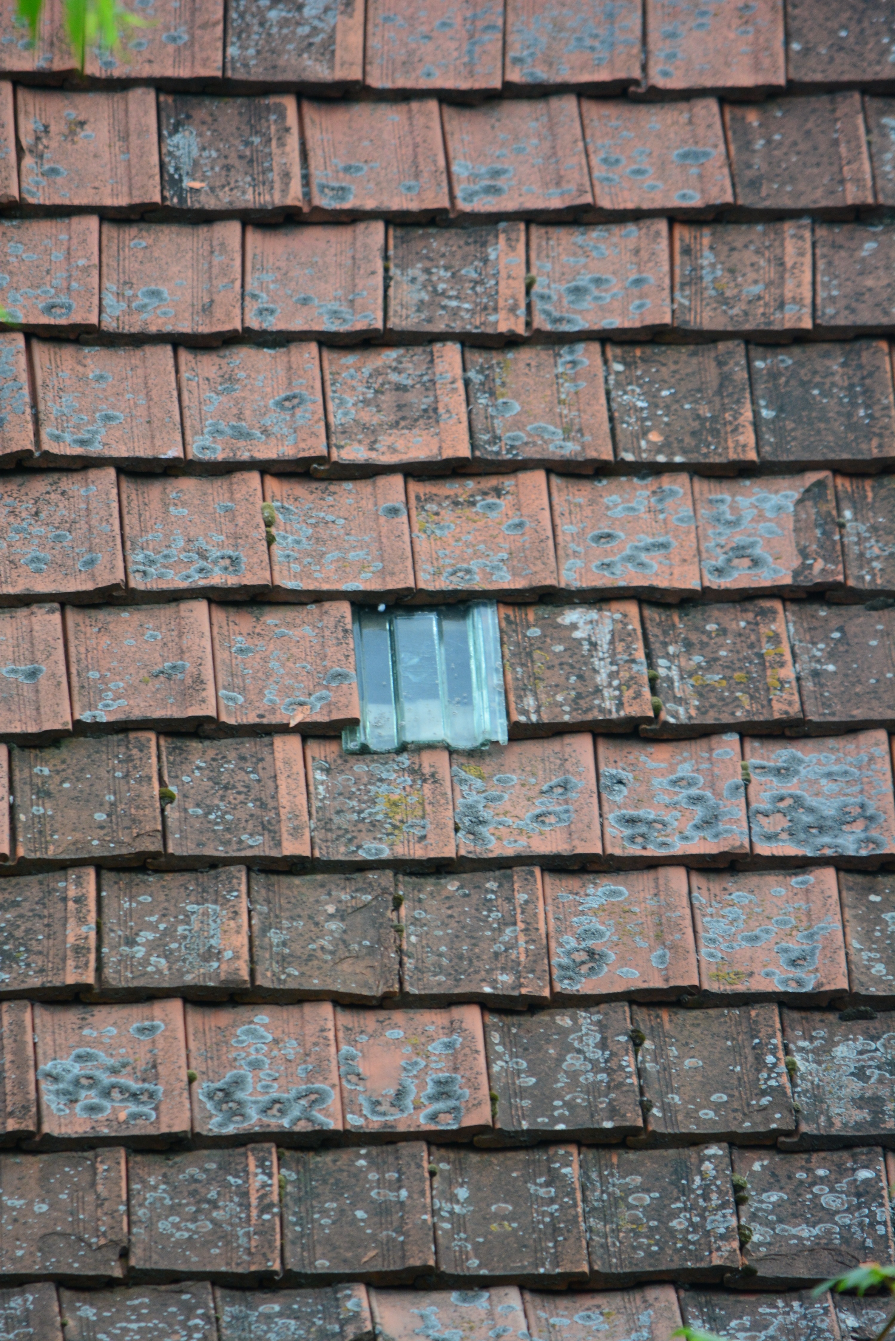 roof tile with gray tile on middle during daytime