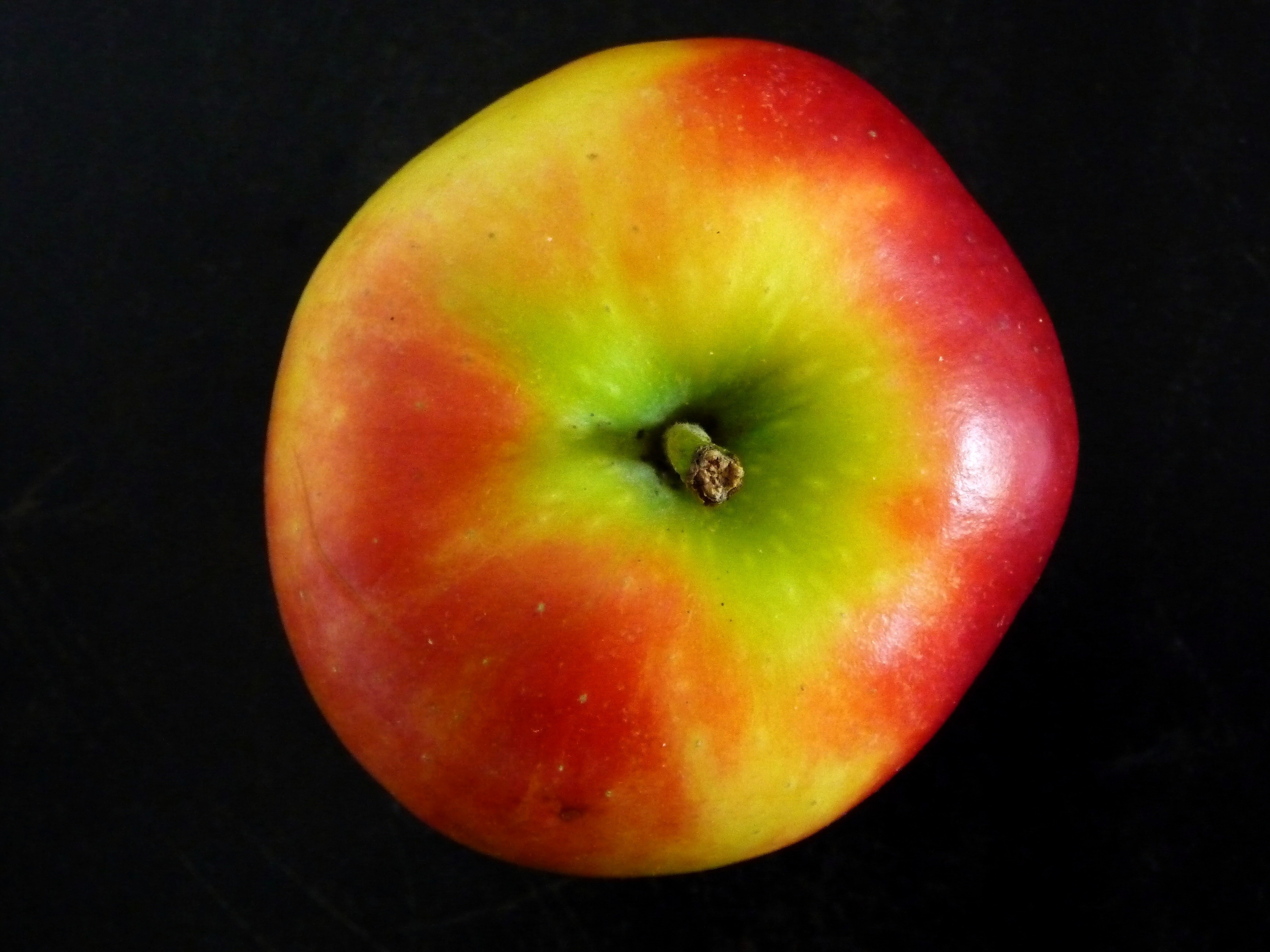green yellow and red apple
