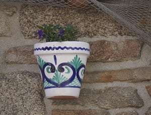 white blue and green clay plant pot thumbnail