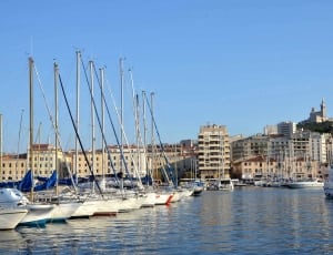 yachts lined in bay near high rise buildings thumbnail