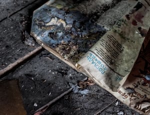 burned book on a grey wooden surface thumbnail