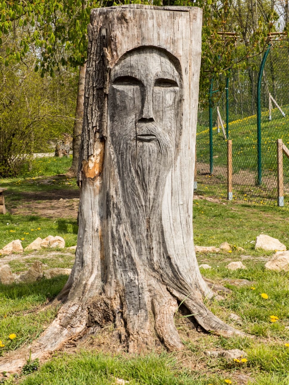 man's face carved wood trunk preview