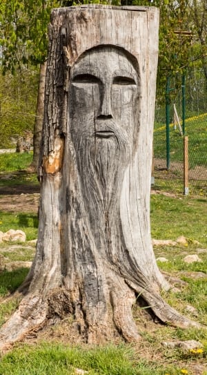 man's face carved wood trunk thumbnail