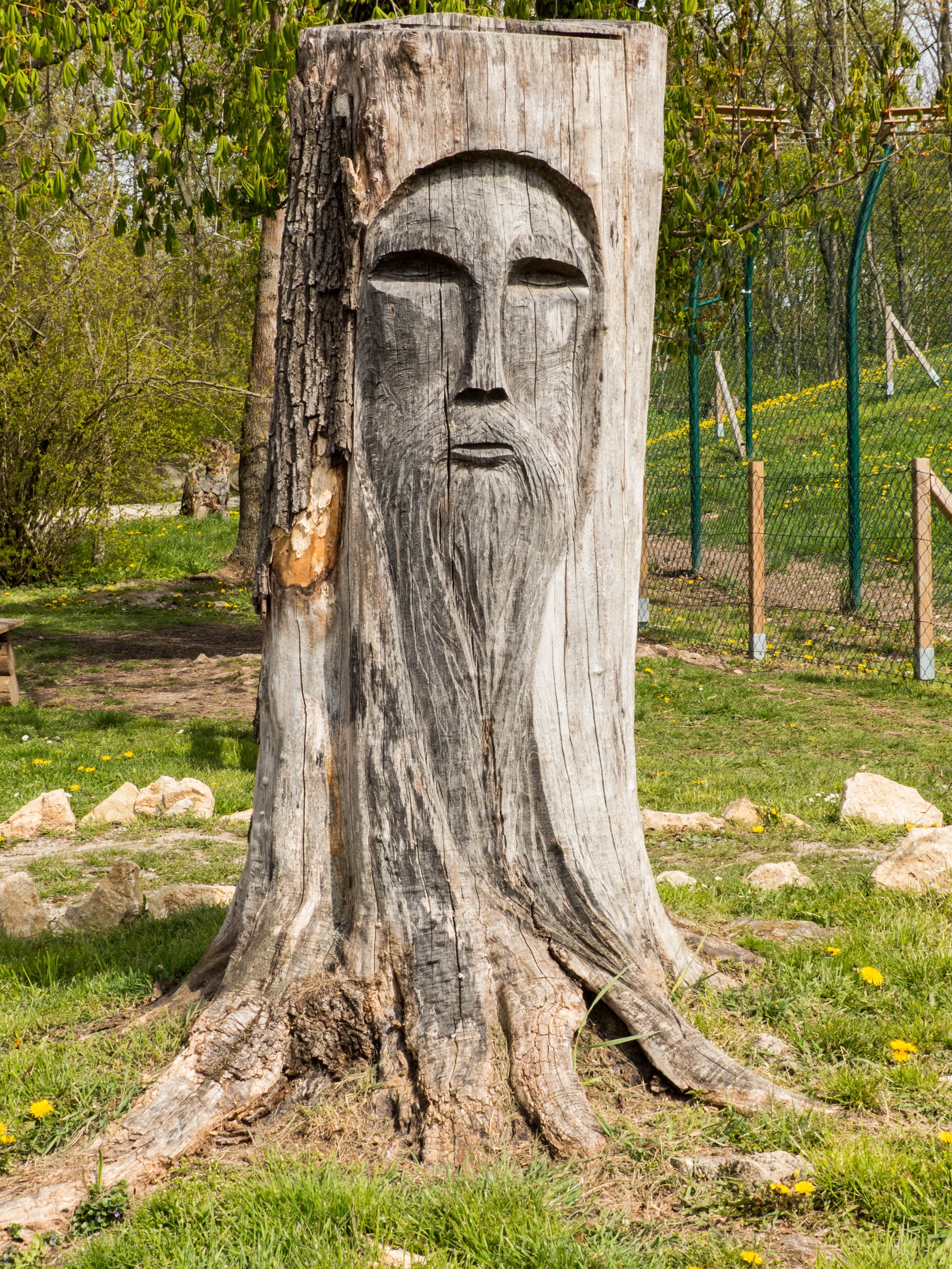 man's face carved wood trunk
