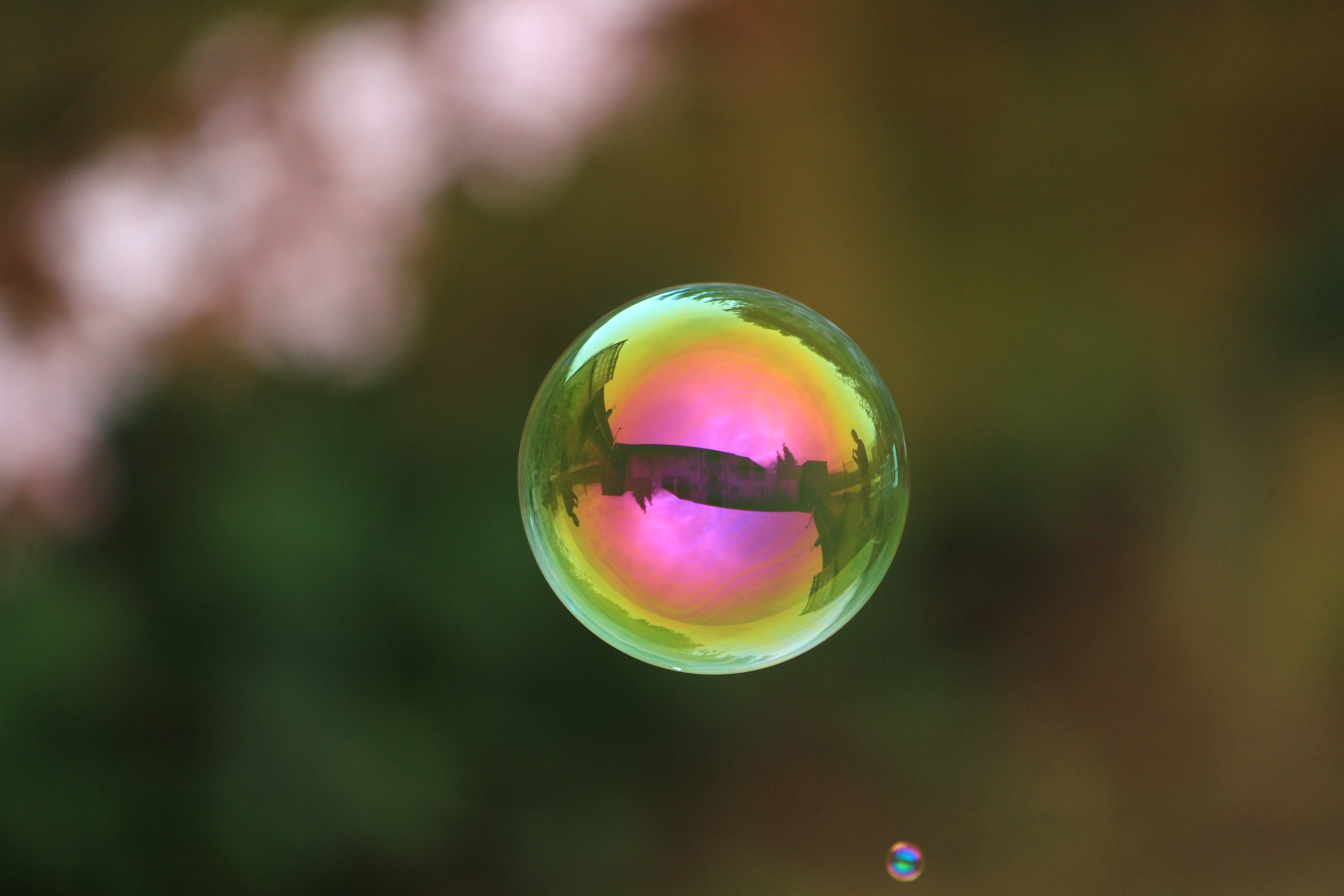 photograph of bubble