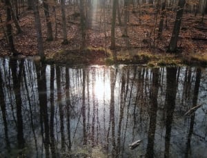 clear puddle thumbnail