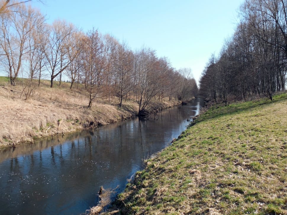 calm river in between bare trees on sloppy hills at daytime preview