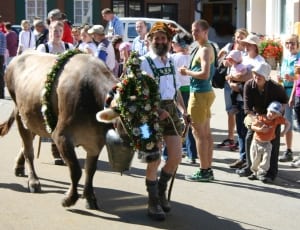 brown bull  with green garland accessory thumbnail