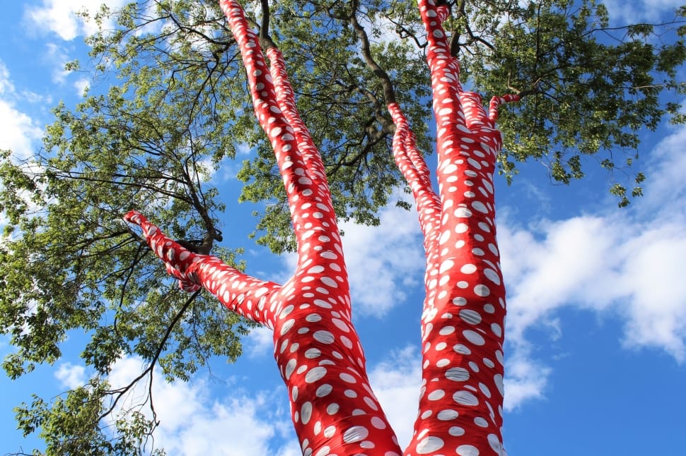 red and white dotted printed tree preview