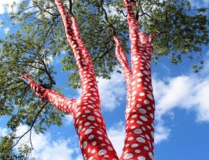 red and white dotted printed tree thumbnail