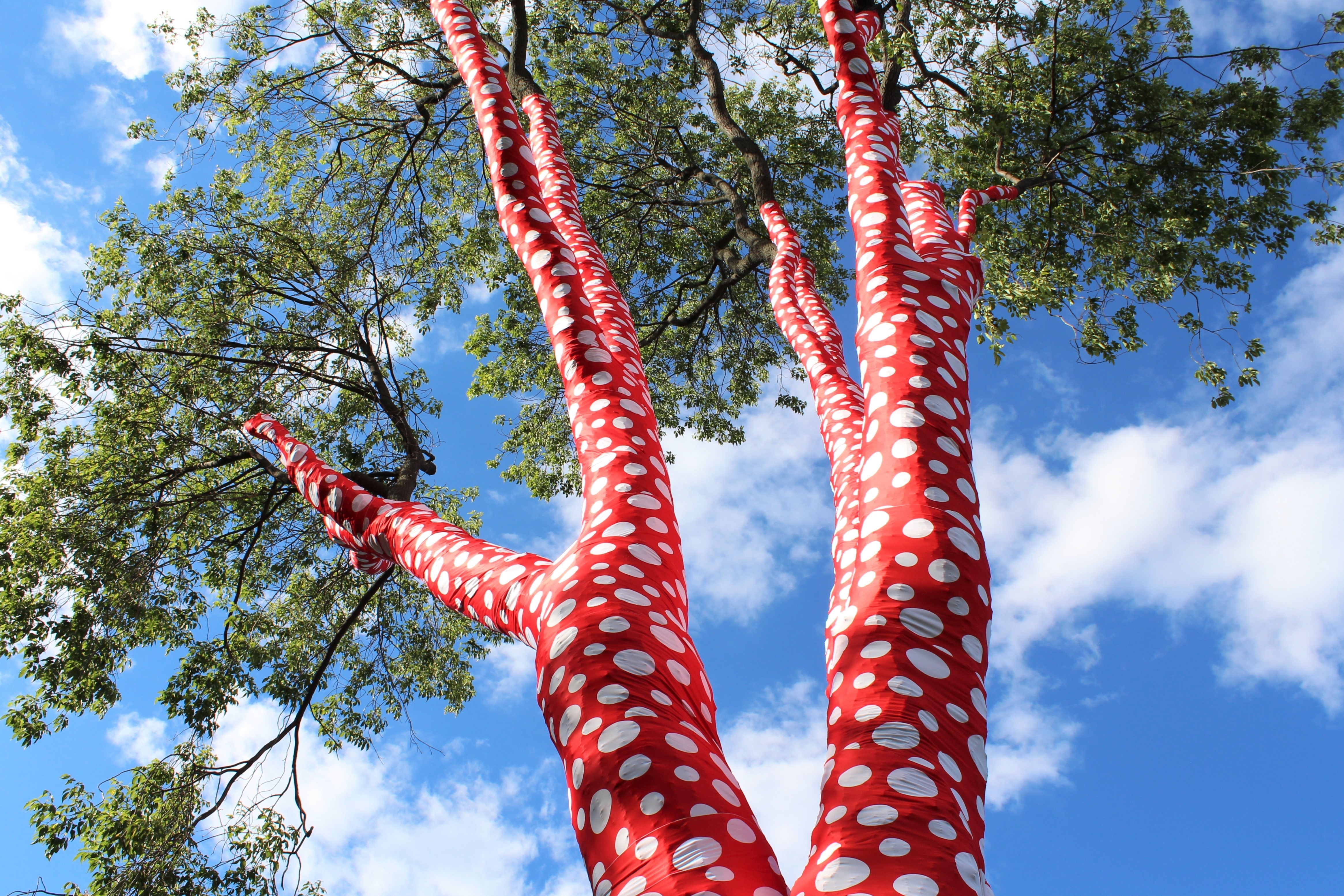 red and white dotted printed tree