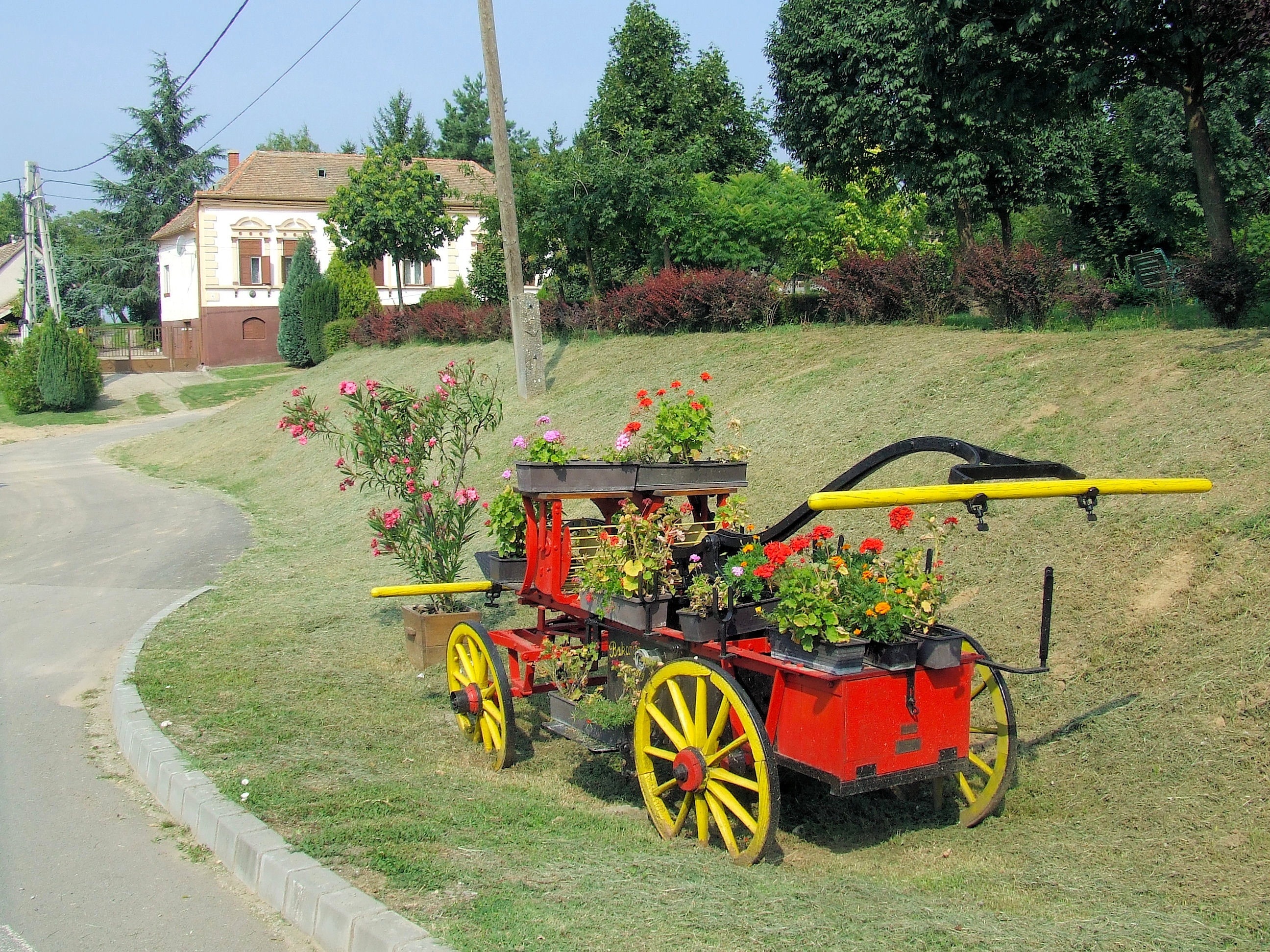 red petaled flower and red carriage