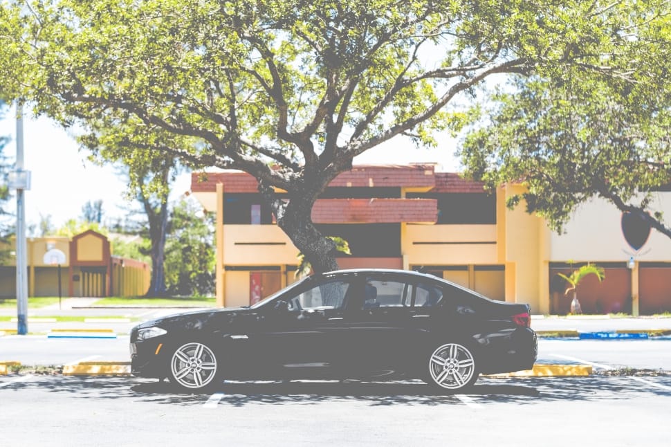 photo of black sedan under the shade of a tree preview