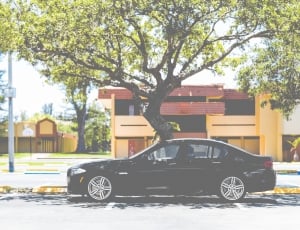 photo of black sedan under the shade of a tree thumbnail