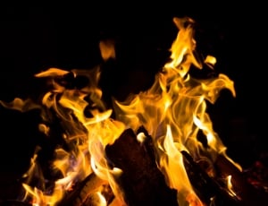 burning fire wood thumbnail