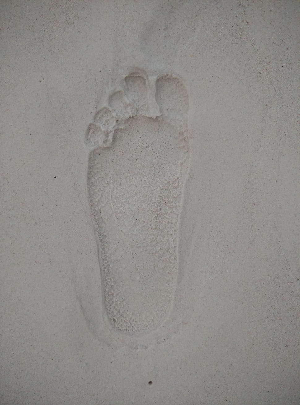 left human foot print preview