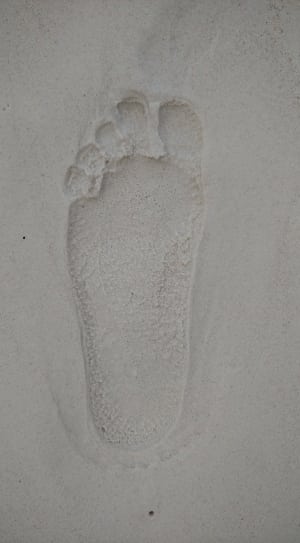 left human foot print thumbnail