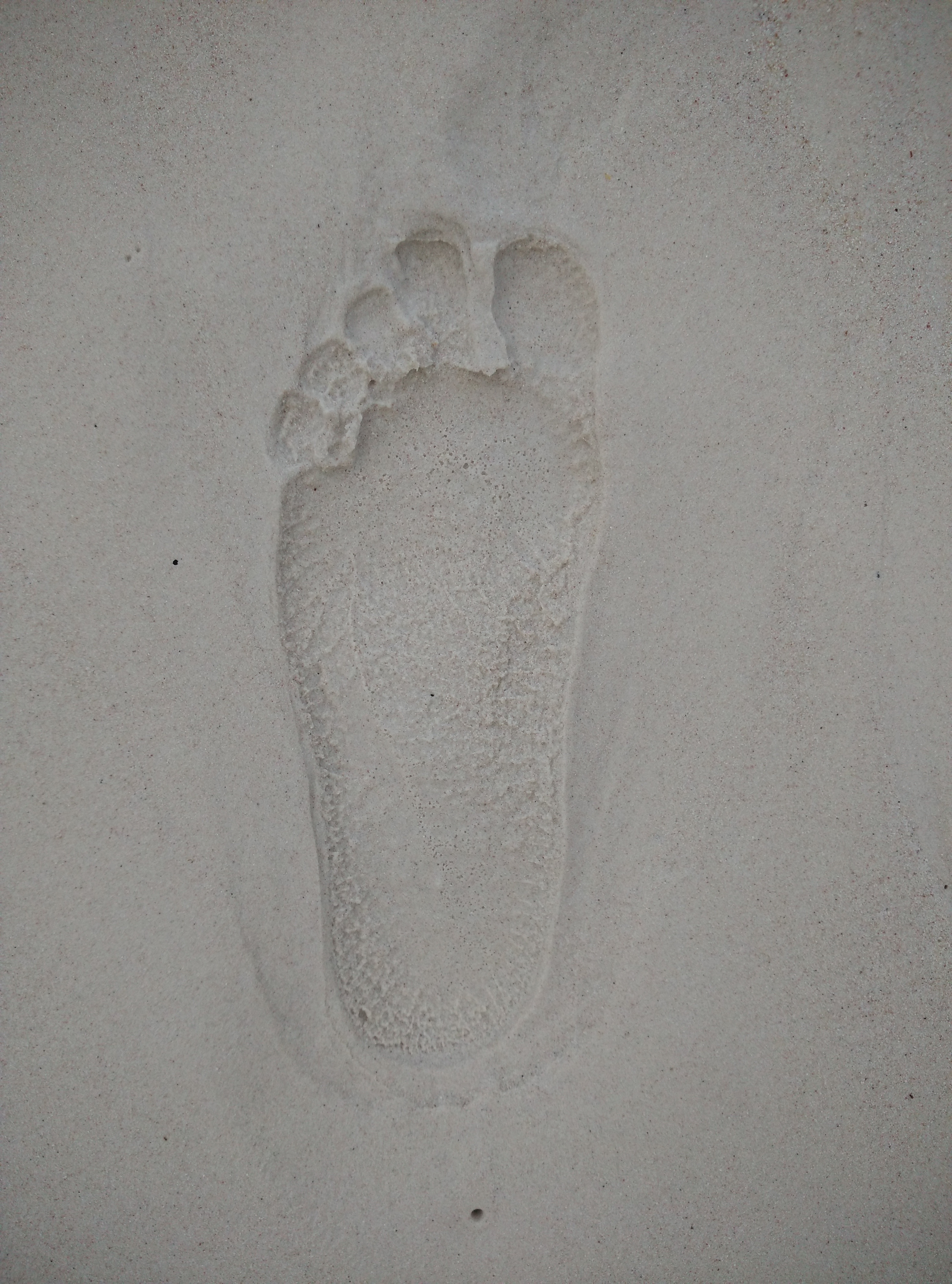 left human foot print