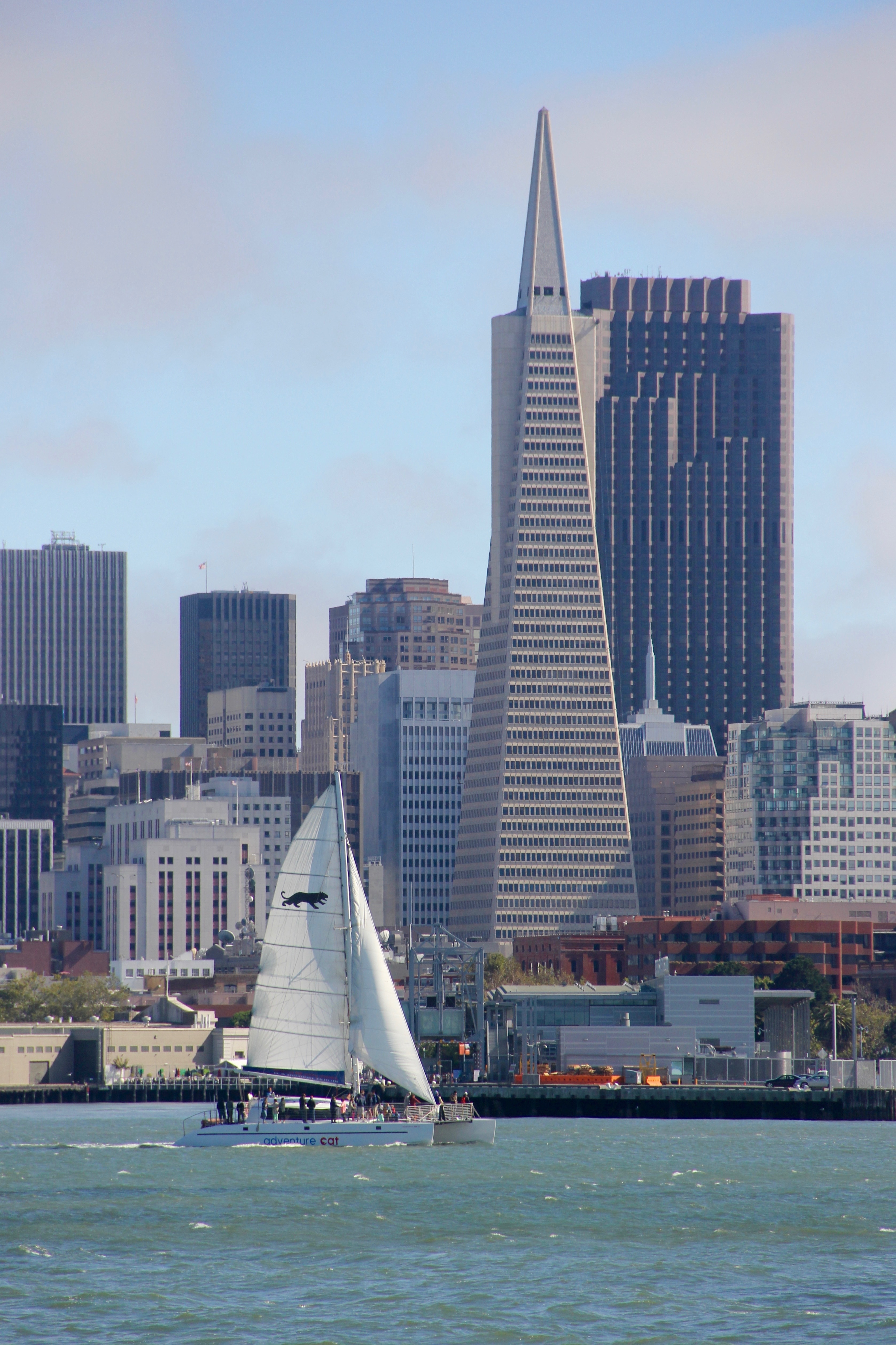 white sail boat and gray cone shaped high rise building