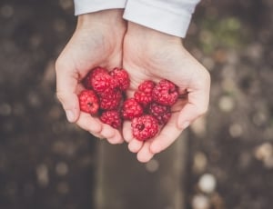 person holding raspberries thumbnail