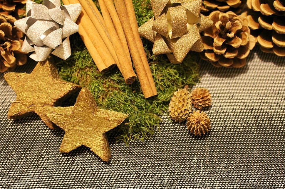 pine cone star and stick preview