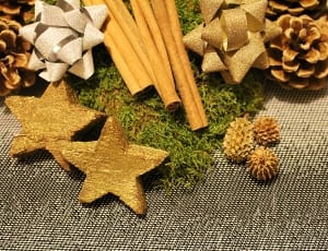 pine cone star and stick thumbnail