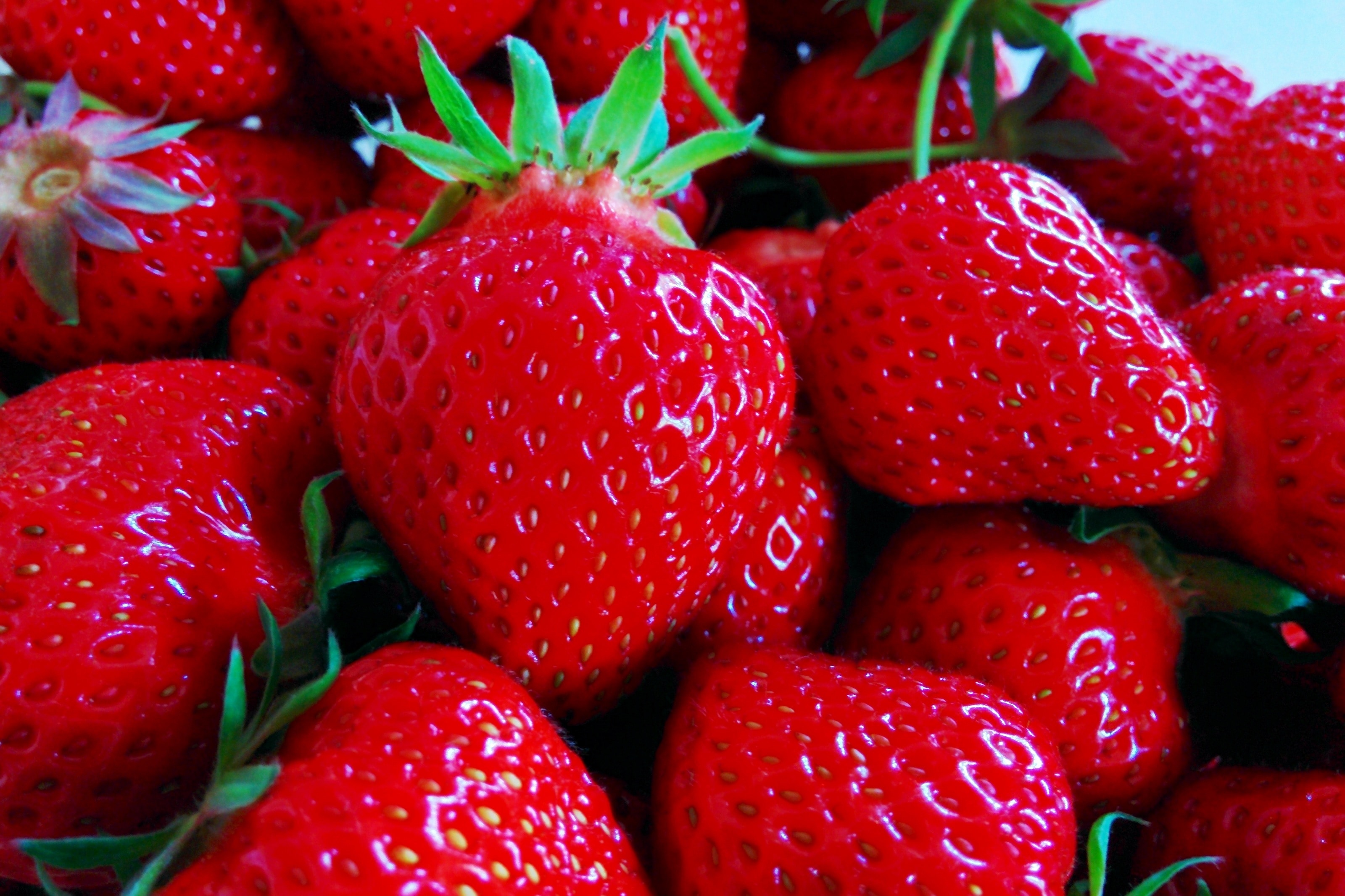 strawberry fruits