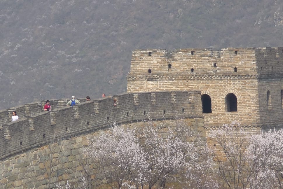 tourist standing on great wall of china preview