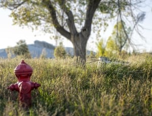 red metal fire hydrant thumbnail